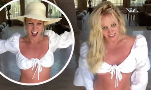 Britney Spears Shows Off Her Abs In Tiny Pink Bikini Bottoms And A Crop