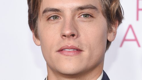 Dylan Sprouse And Longtime Girlfriend Barbara Palvin Are Reportedly