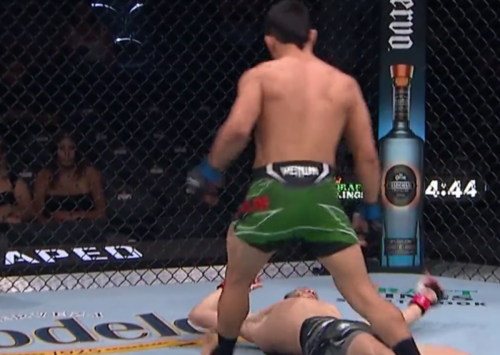 UFC Fighter Wins Match In 17 Seconds Via Devastating Knockout Flipboard