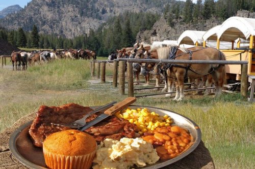 Eat lunch with llamas: 10 outdoor culinary adventures for every foodie