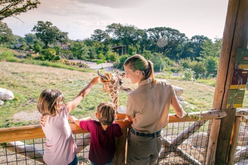10 best zoo memberships at zoos across the US