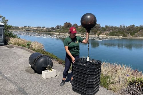 How this Southern California aquafarm is saving the environment with oysters and mussels