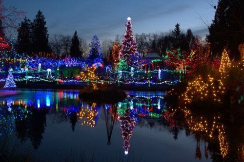 What is the Best Botanical Garden Holiday Lights for 2023?