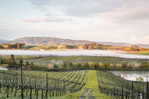 This is the best of American wine country