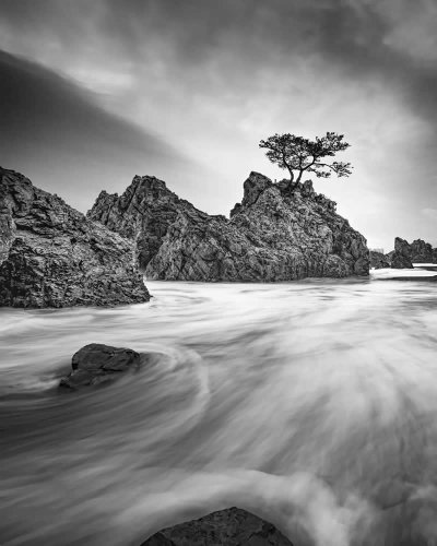 Nature in Monochrome: Capturing the Soul and Beauty of Black and White Landscapes