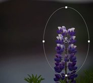 Lightroom Tutorials for Beginners: How to use Radial Filter