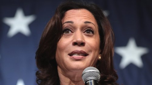 The Collapse of Kamala Harris Is Nearly Complete