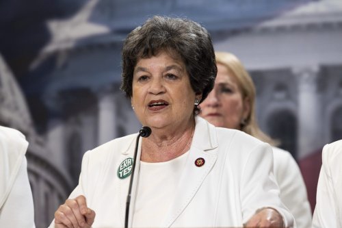 ‘This will go down in history as a really black mark’: Rep. Lois Frankel of Florida recalls the Capitol riot
