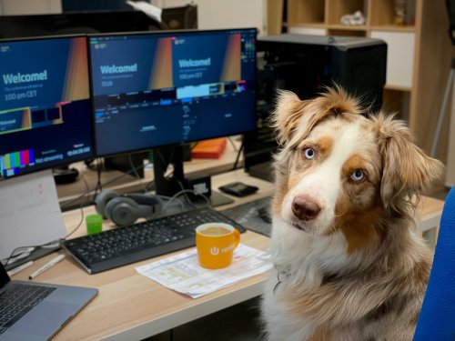 Welche Benefits bietet dir dein Arbeitgeber?