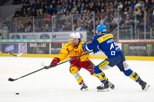 Tigers holen Playoff-Ticket – Ambri schickt Lakers in die Ferien