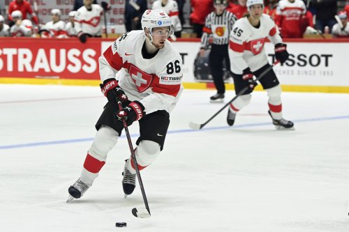 Vierter NHL-Star für Nati-Trainer Fischer: Moser stösst zum Team