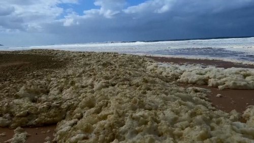 Ungewöhnlicher Schaum und tote Fische: Zwei Strände geschlossen