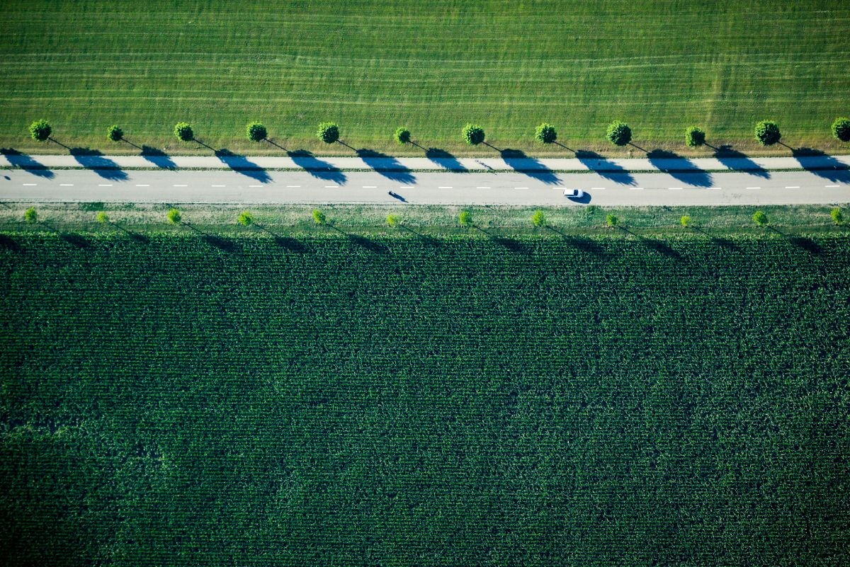 Comment les agriculteurs peuvent se passer de pesticides