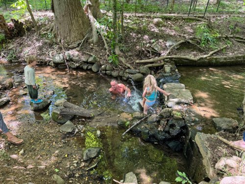 Il barbote en famille dans une eau pleine de bactéries fécales