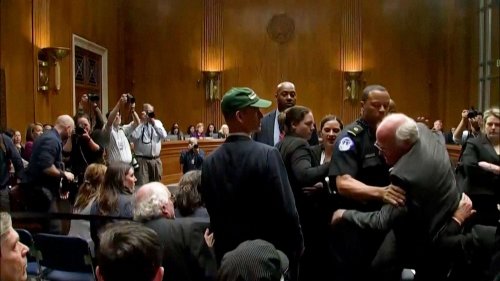 Ben & Jerry’s-Mitgründer wegen Gaza-Protest verhaftet