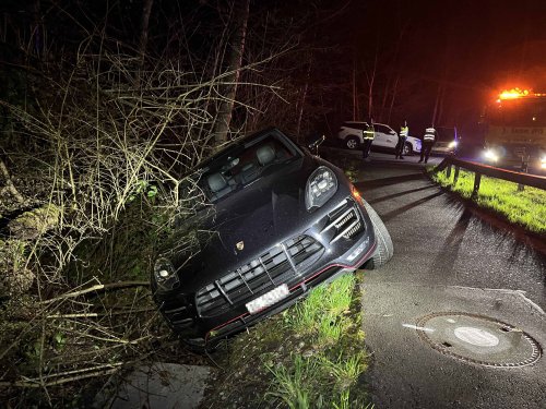Fahrer landet nach Selbstunfall im Wiesland