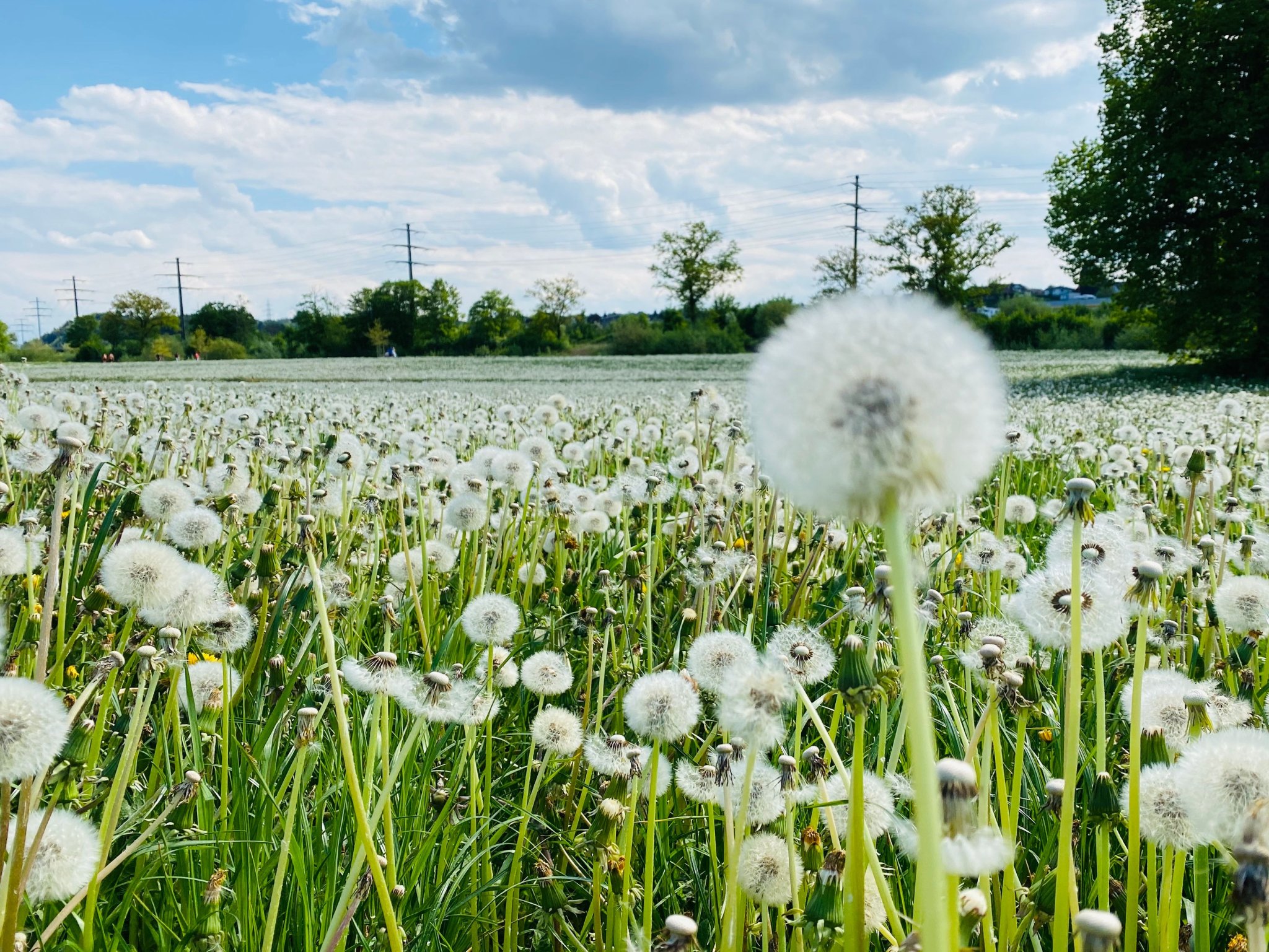 Traumwetter bis Sonntag, dann Regen – was erwartet uns an Ostern?