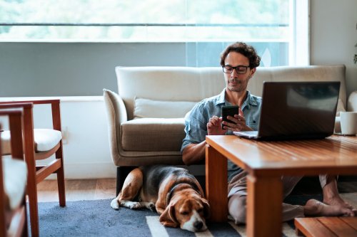 Ils alertent contre les ondes qui donnent le cancer aux animaux