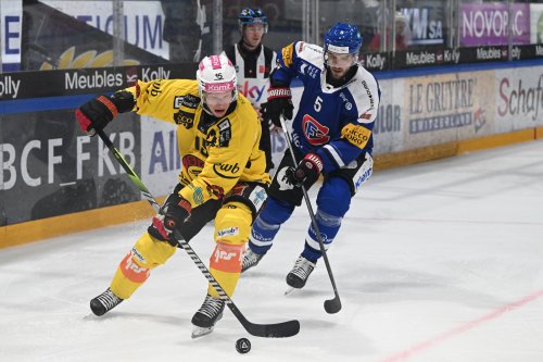 Spiel 7 in Bern: Zieht Gottéron in den Playoff-Halbfinal ein?