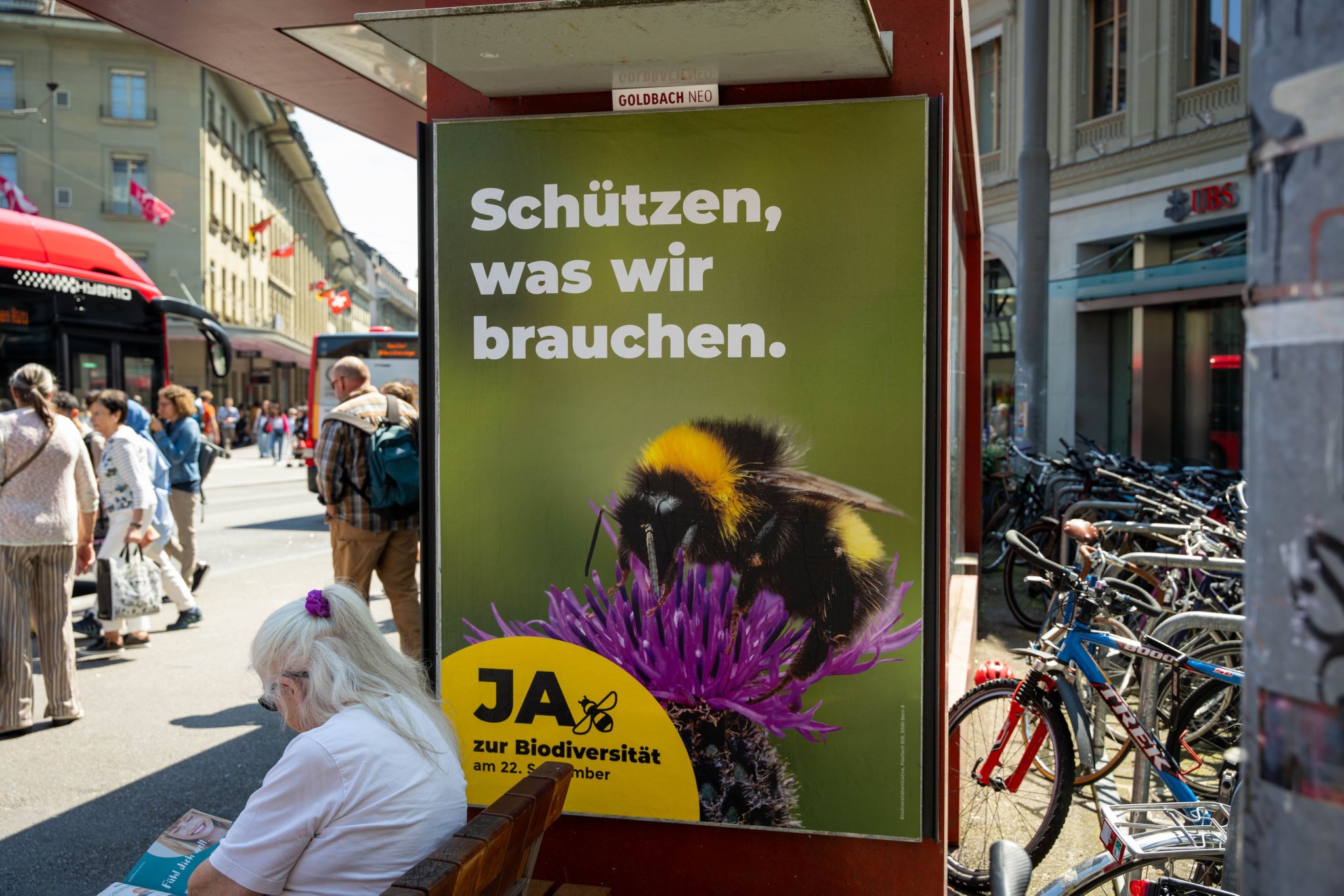 Nein, Elfjährige und Bienen dürfen nicht abstimmen