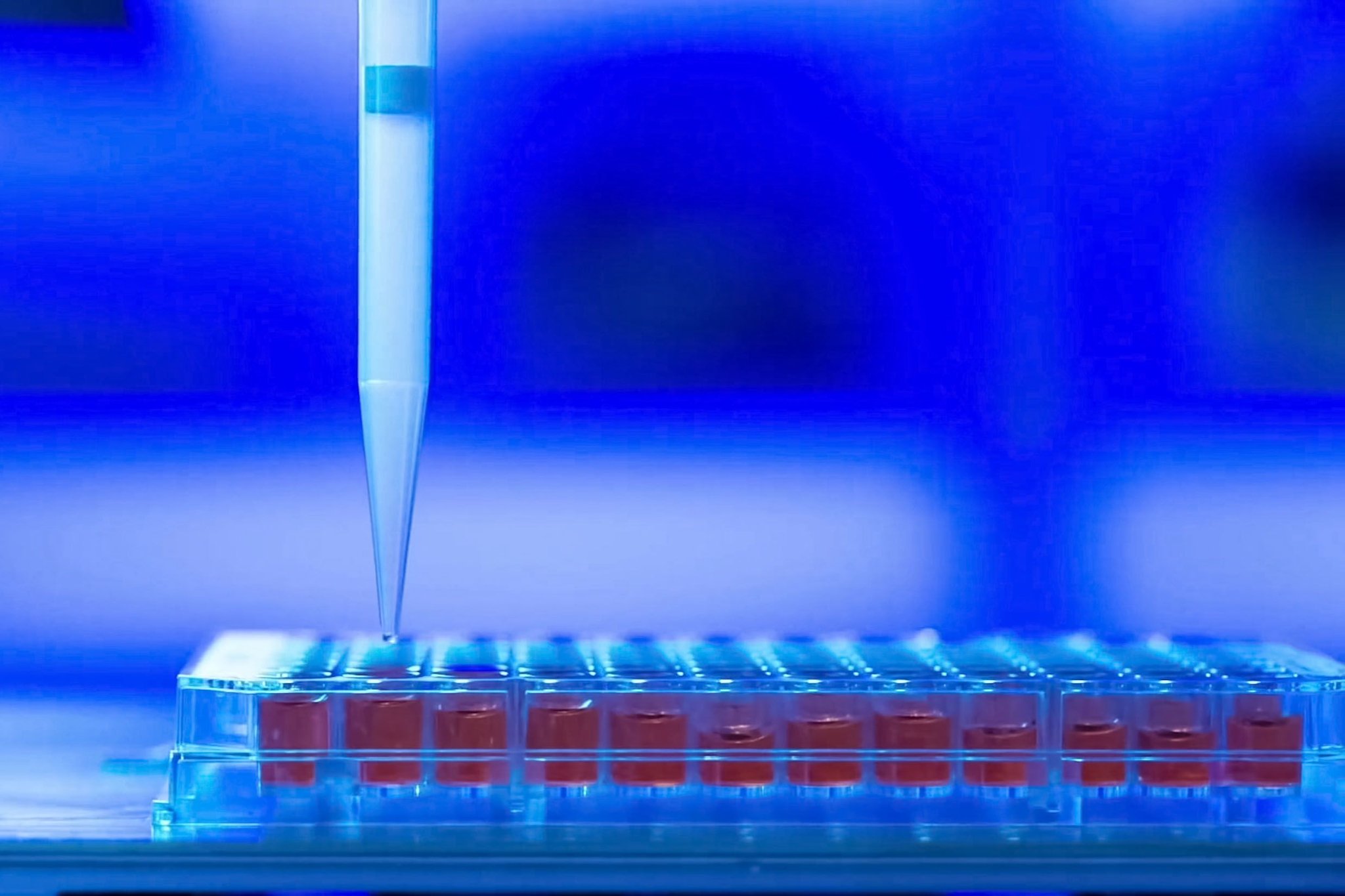 Geheimgehaltene BND-Erkenntnisse zum Coronavirus enthüllt