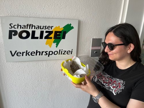 5 Jahre vermisst: Schildkröte Xanthippe endlich wieder zu Hause