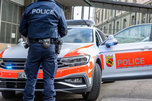 Hund von Auto erfasst und tödlich verletzt - Polizei sucht Zeugen