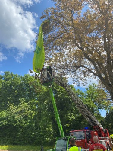Trois jeunes ont sauvé un parapentiste coincé dans un arbre
