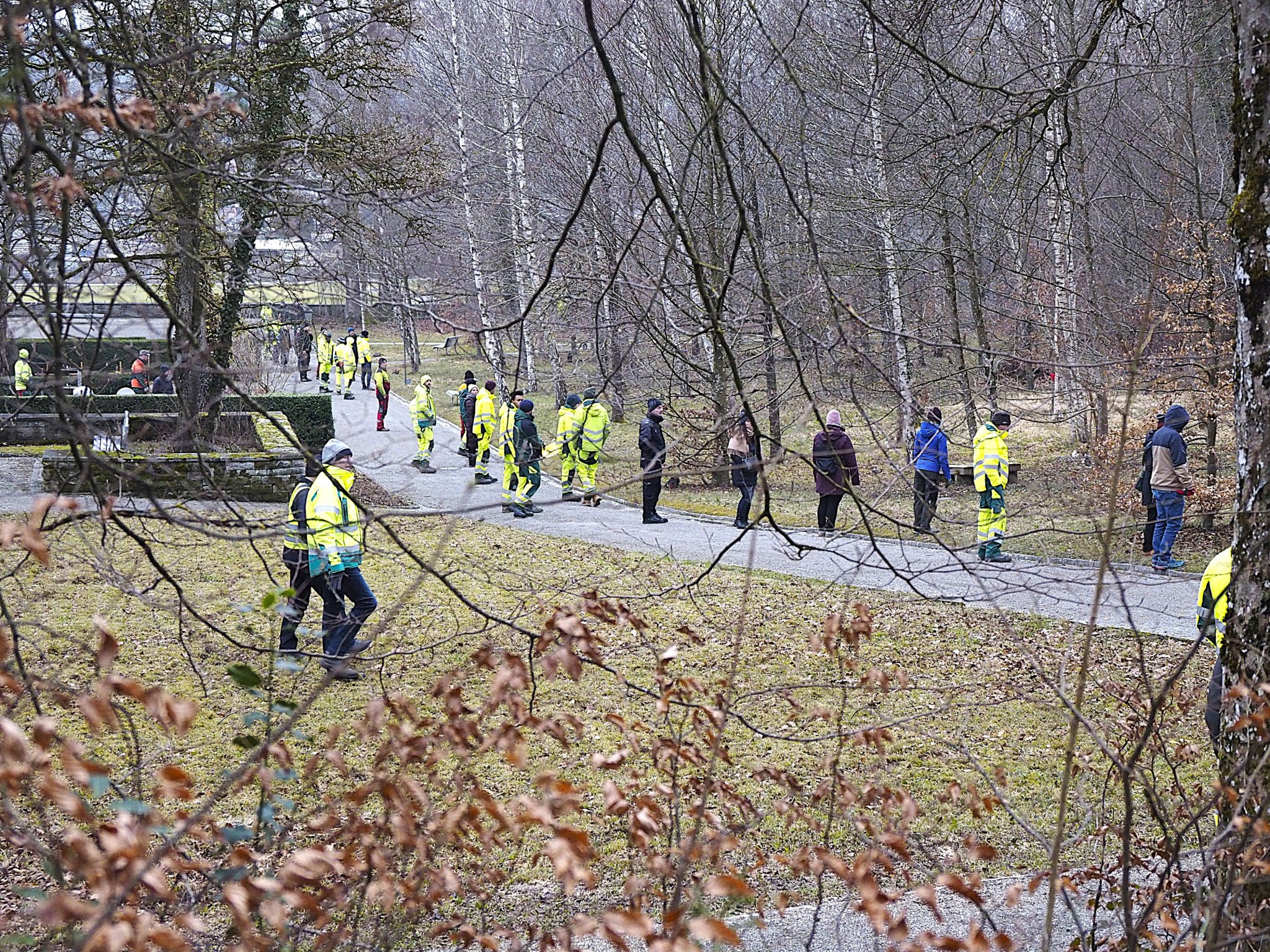 Weil sie Grabschmuck frassen: 120 Leute treiben Rehe in Wald