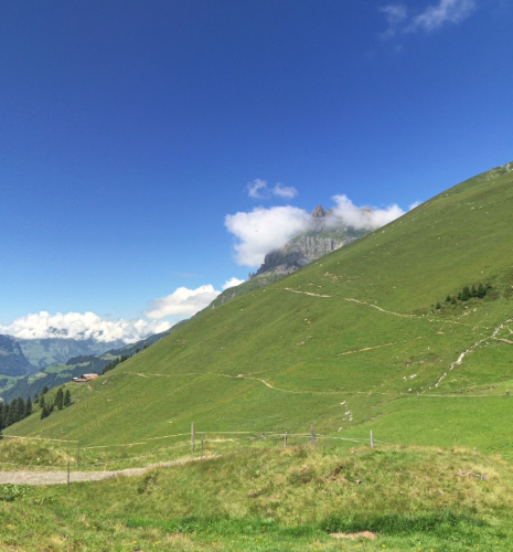 Fallschirm öffnete sich nicht: 34-Jähriger stirbt bei Basejump