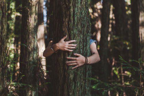 7 neue Begriffe für alle Naturliebhaber