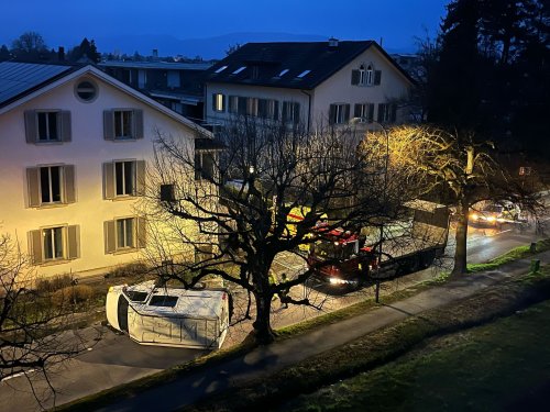 «Es sieht so aus, als habe er einem Tier ausweichen wollen»