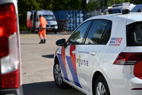 Mehrere Leichen bei Suche nach vermissten Kindern gefunden