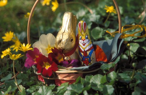Bist du ein Schoggihase oder ein Osterchüechli? Finde es heraus!