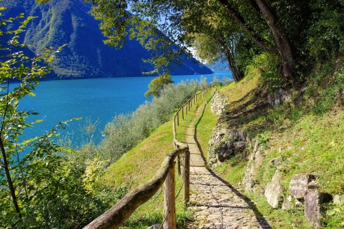 Diese Wanderungen sind jetzt im Frühling besonders schön