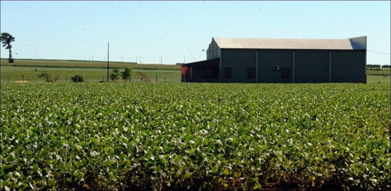 Les agriculteurs américains piégés par les taxes de Trump