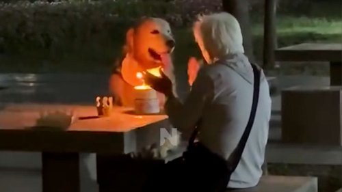 Oma feiert Hund mit Kuchen – seine Reaktion rührt Millionen
