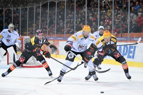 Strafenflut und Overtime: SCB bodigt Fribourg – HCD erneut stark