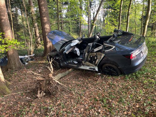 Bei Überholmanöver: Teslafahrer (24) fliegt von der Strecke