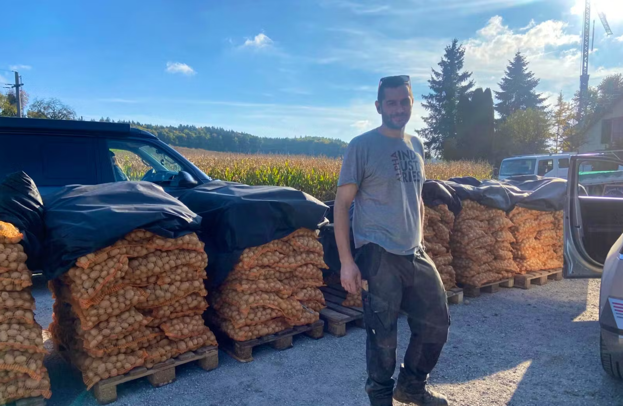 Les agriculteurs ne savent plus quoi faire de leurs patates