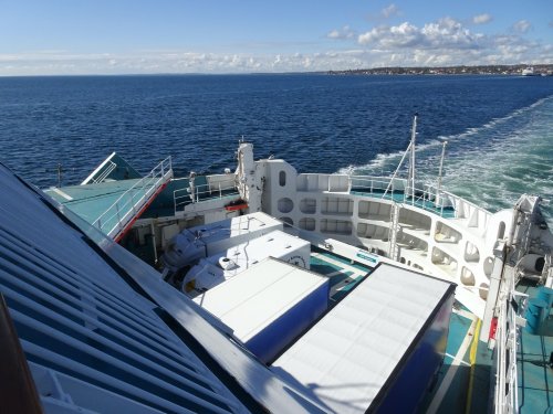 Schweden-Ferien für Seehunde bald vorbei – so reisen sie zurück