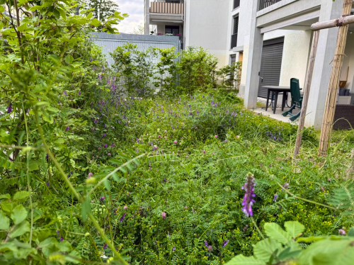 Des locataires paient des jardins qu'ils ne peuvent pas utiliser