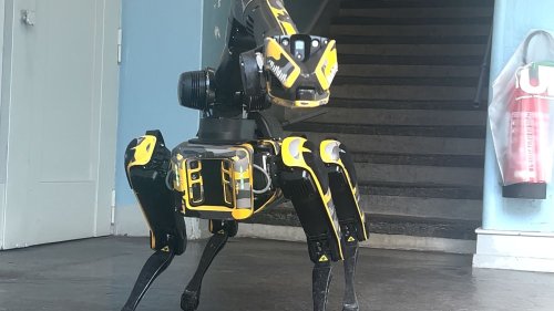 Hier stellt die Kapo ihren neuen Roboterhund vor