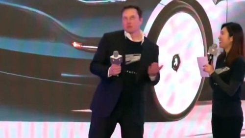 «Oh, danke, Elon Musk» – Fan-Hymne löst Diskussionen aus