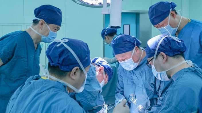 Foie de cochon implanté sur un humain: «ça a bien fonctionné»