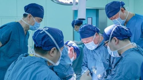 Foie de cochon implanté sur un humain: «ça a bien fonctionné»