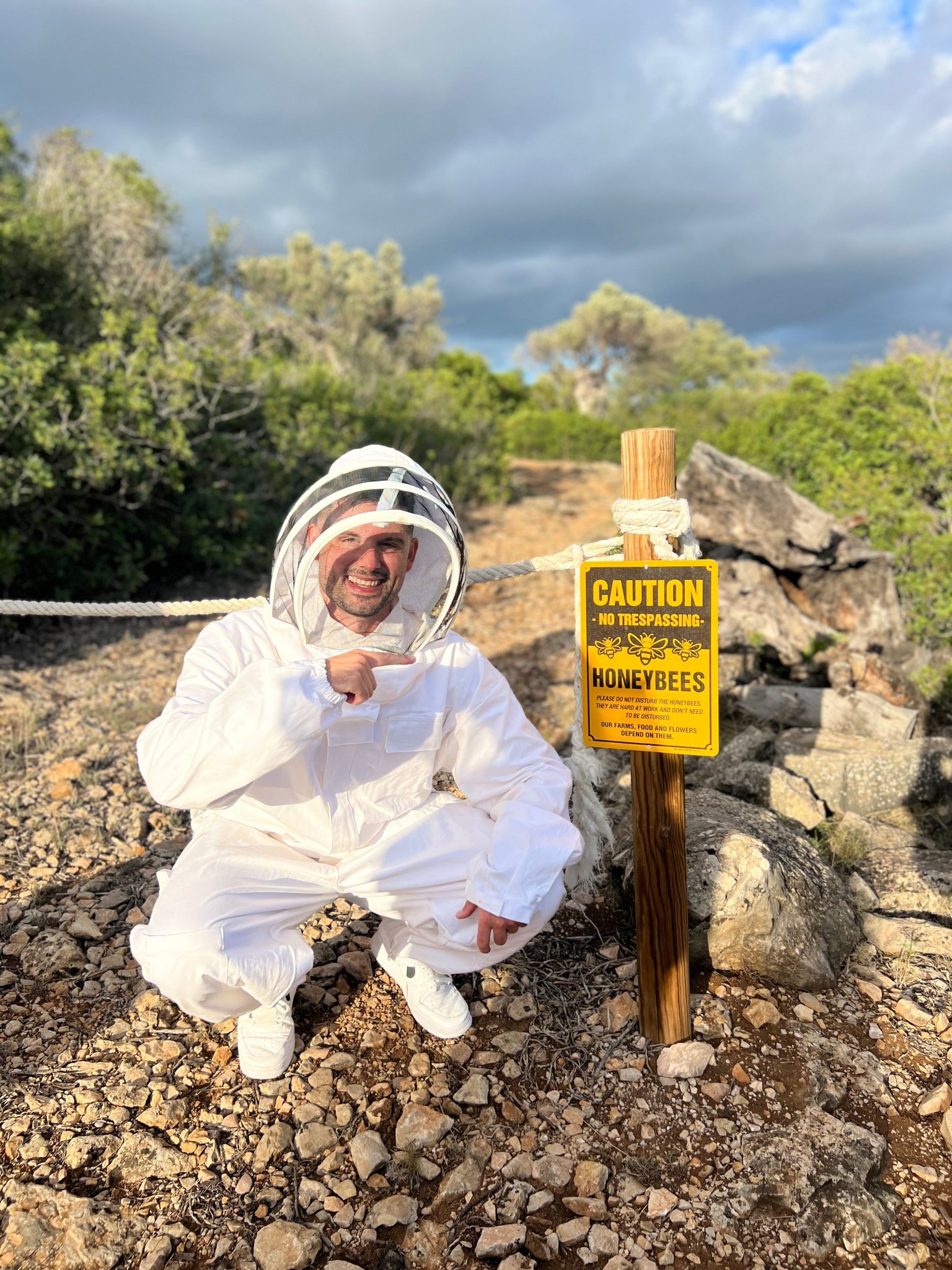 Bienen statt Ballermann: So sehen Relax-Ferien auf Mallorca aus