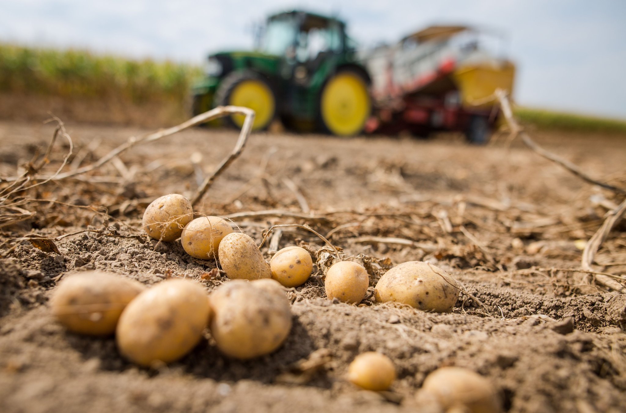 Coop change ses conditions: des maraîchers en ont ras la patate