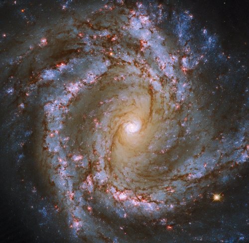 Eigentlich dürfte es diese Galaxie gar nicht geben