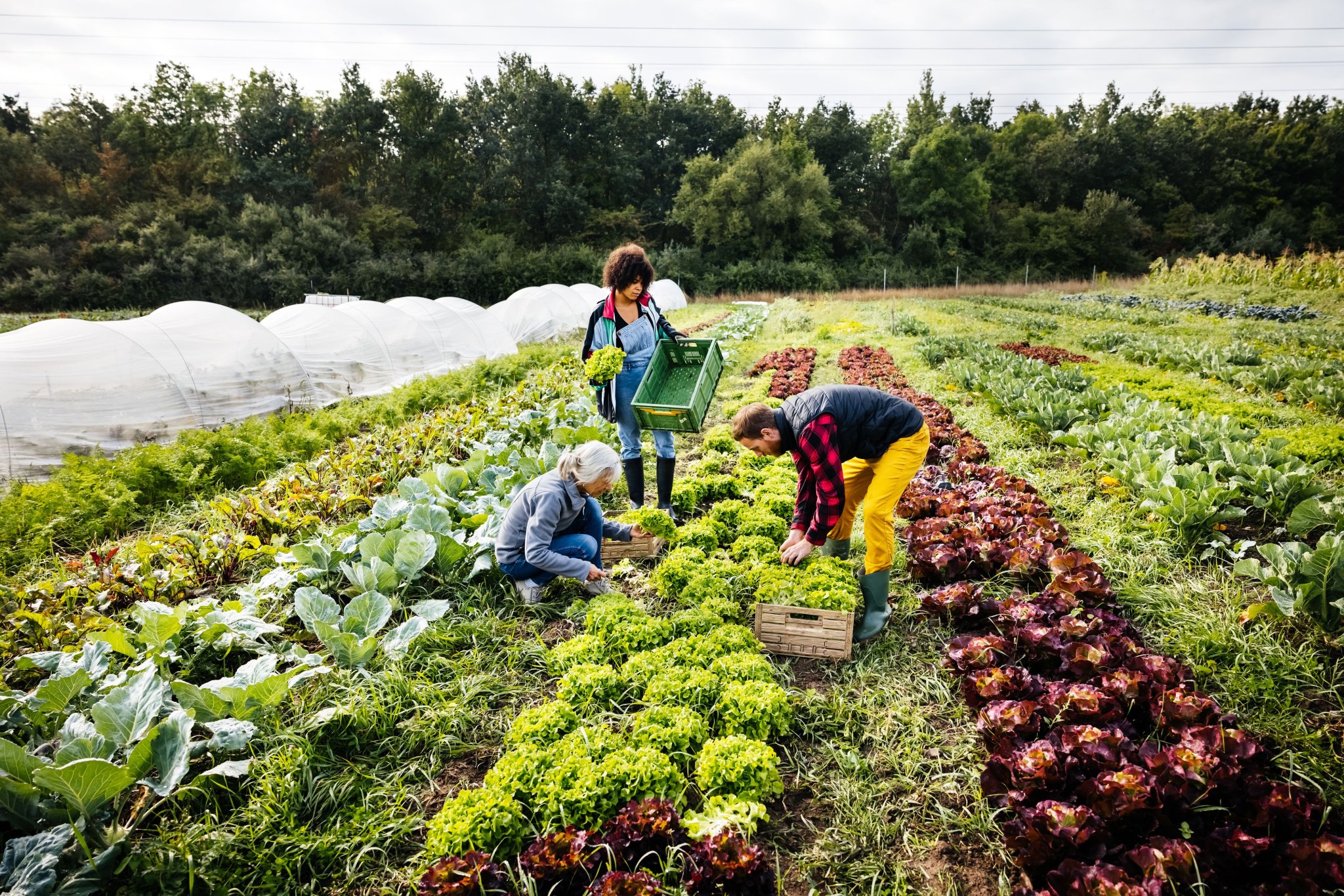 Une injustice crasse visant les agriculteurs bientôt corrigée